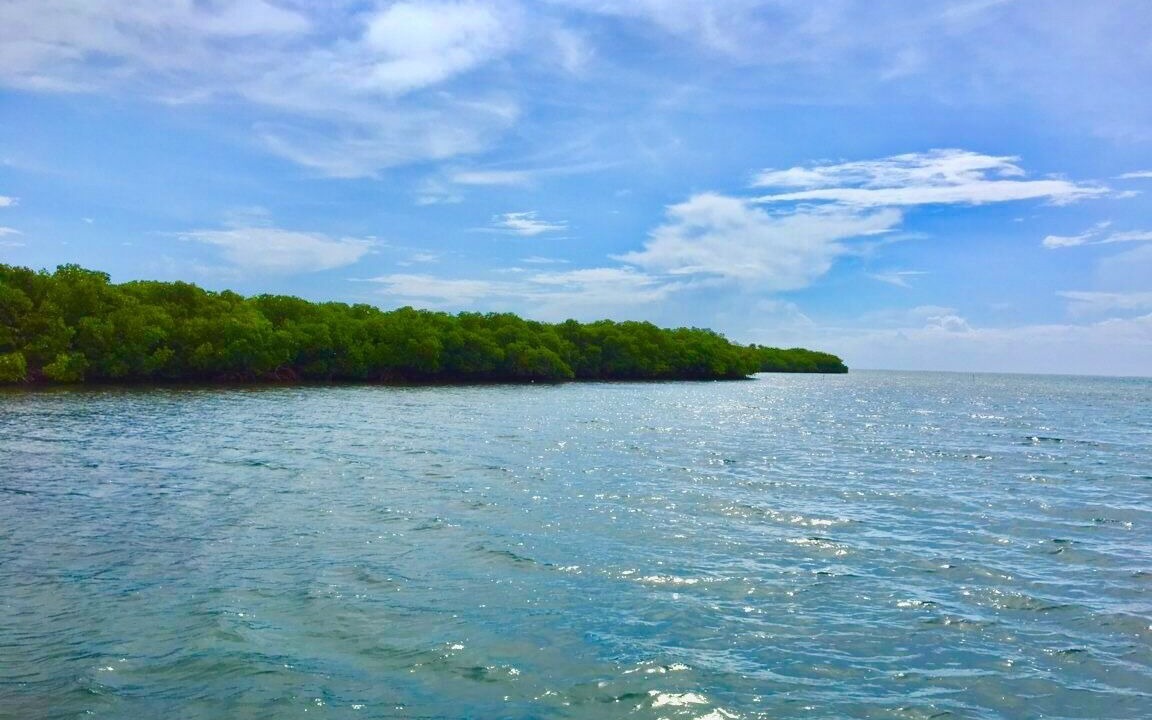 Photo of Others in Glovers Reef Atoll