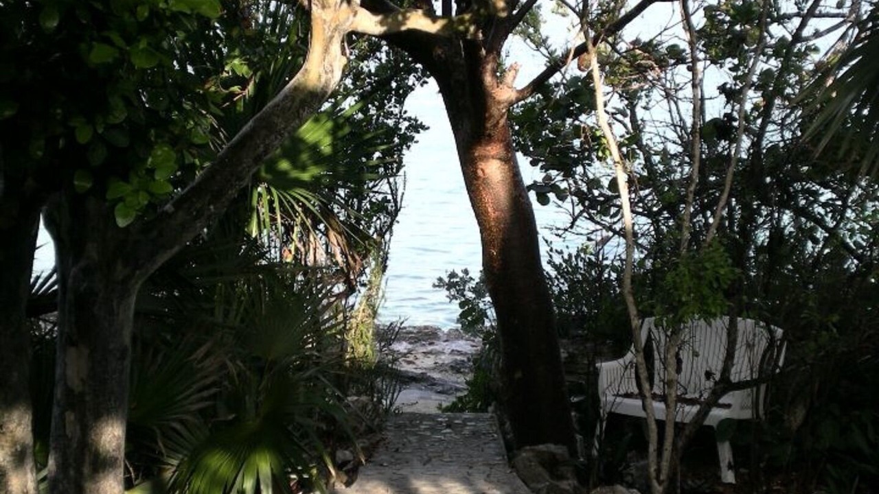 Photo of Outdoor in Current