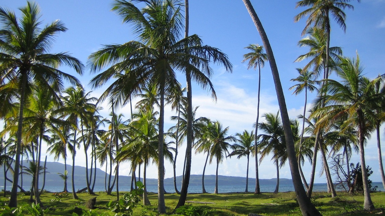 Photo of Outdoor in Las Galeras