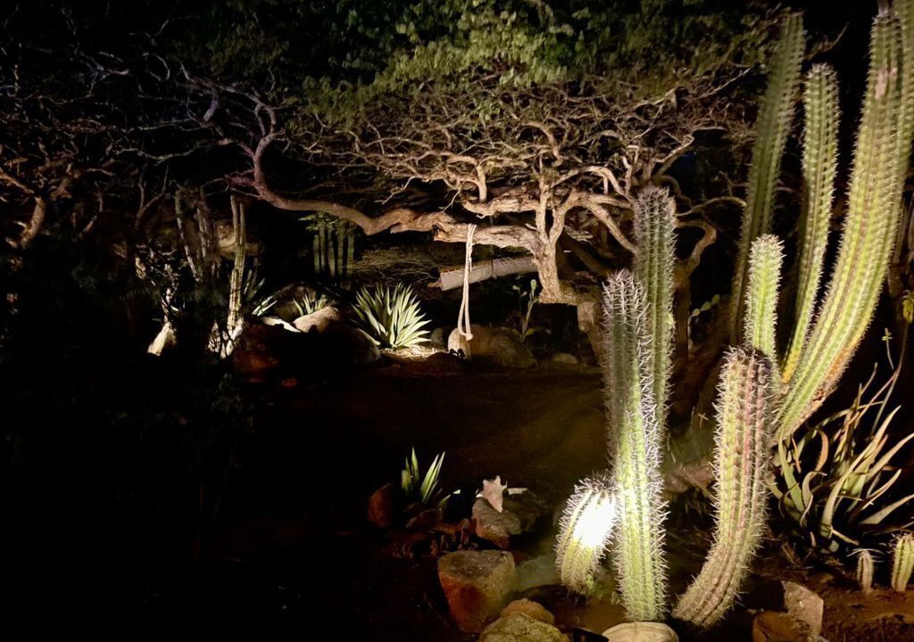 Photo of Outdoor in Casibari