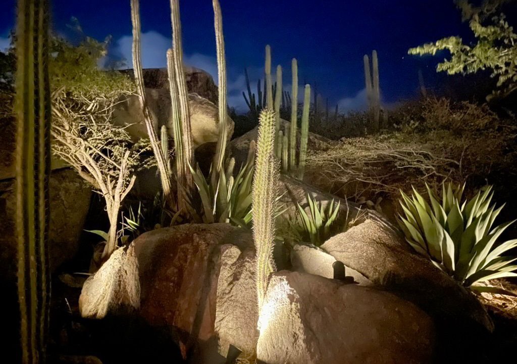Photo of Outdoor in Casibari