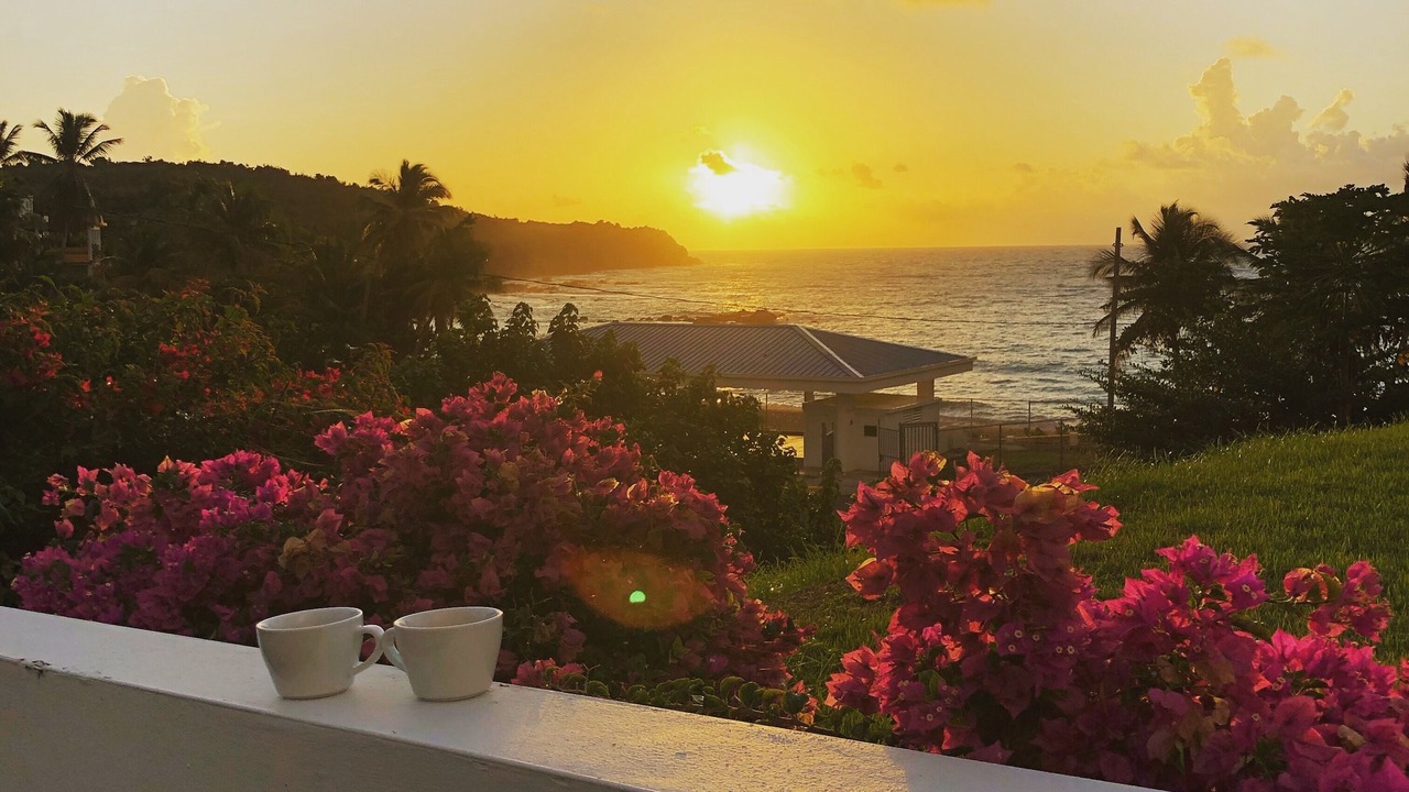 Photo of Outdoor in Camino Nuevo