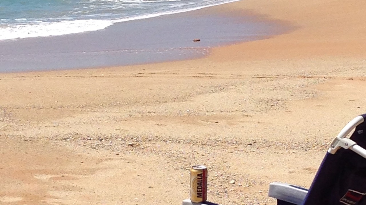 Photo of Others in Camino Nuevo