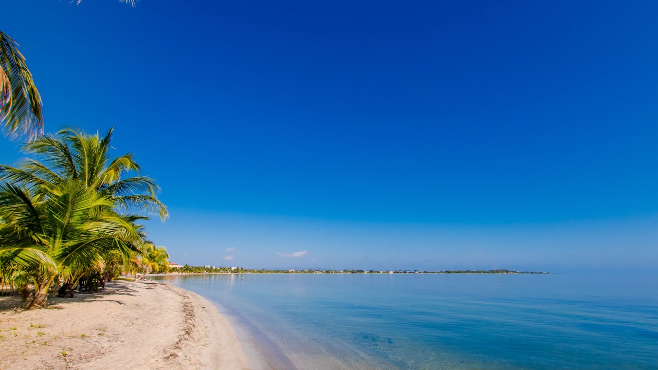 Photo of Others in Placencia