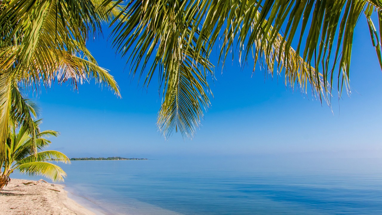 Photo of Others in Placencia