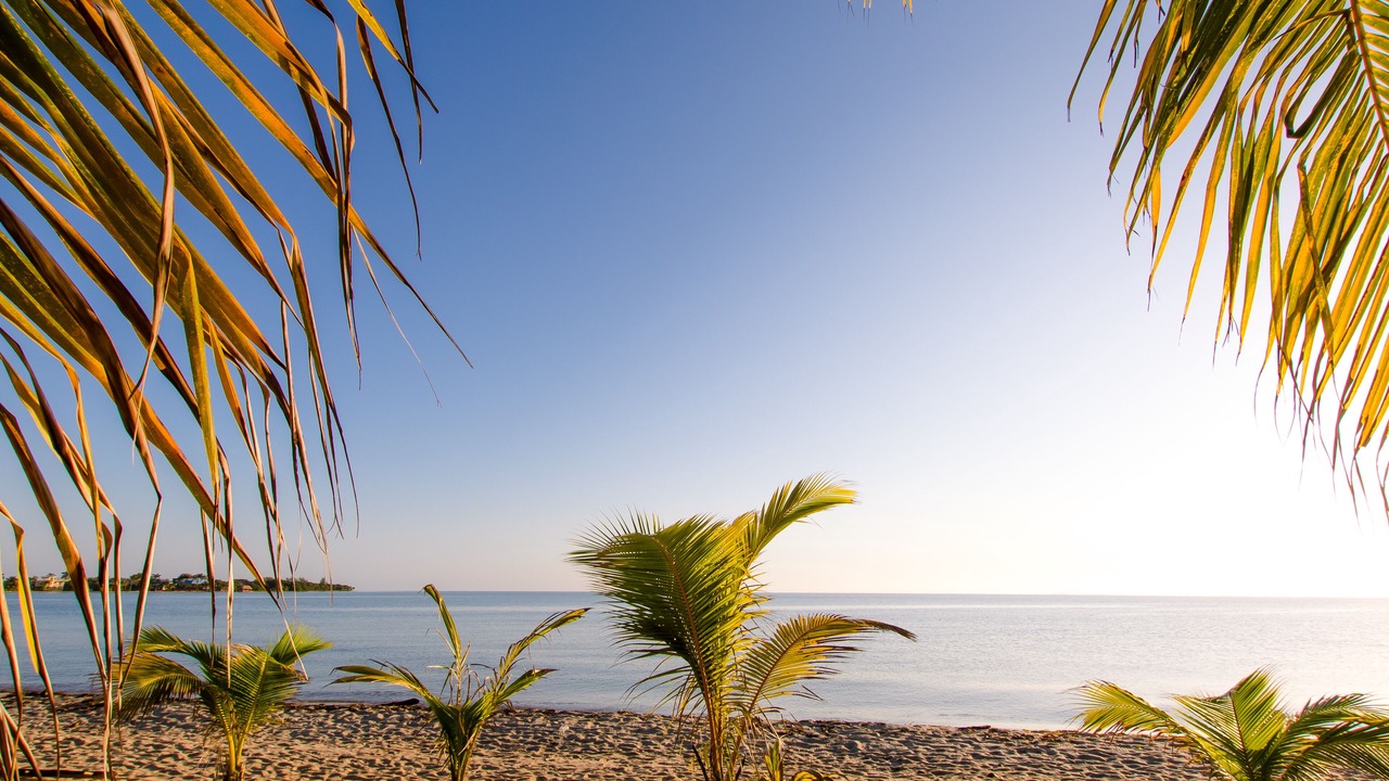 Photo of Others in Placencia