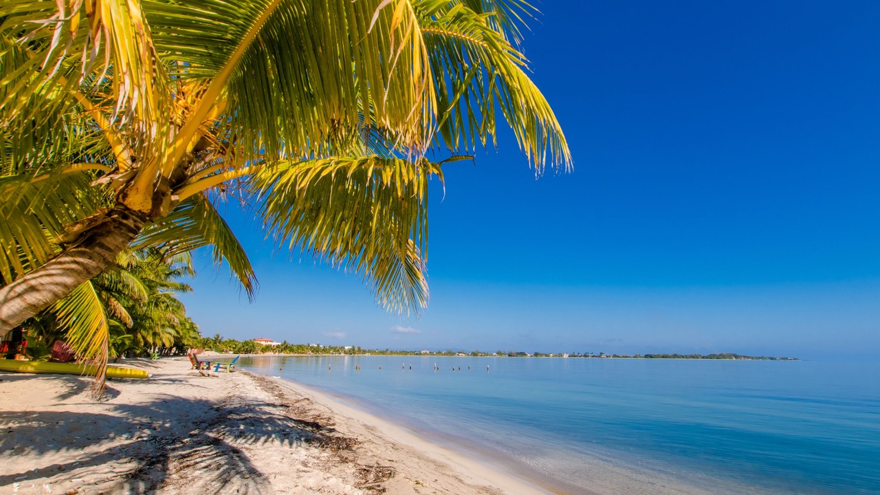 Photo of Others in Placencia