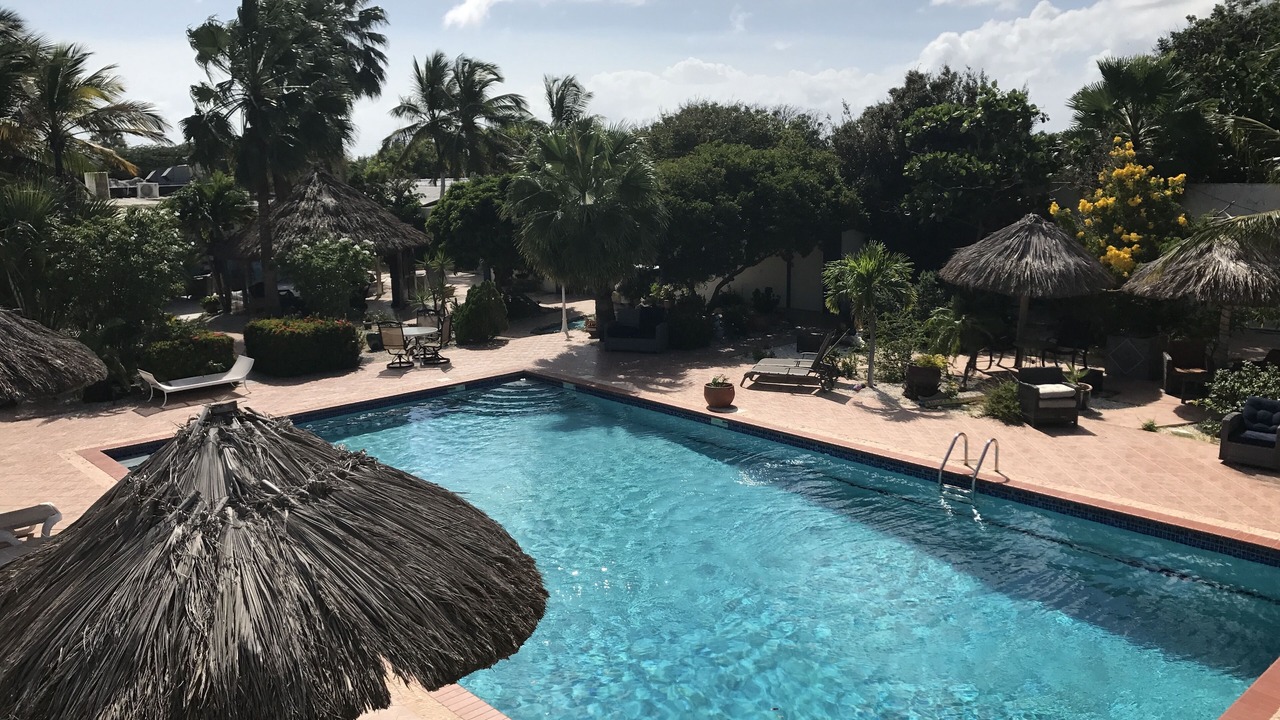 Photo of Outdoor in Savaneta