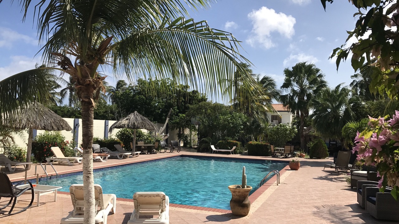 Photo of Outdoor in Savaneta