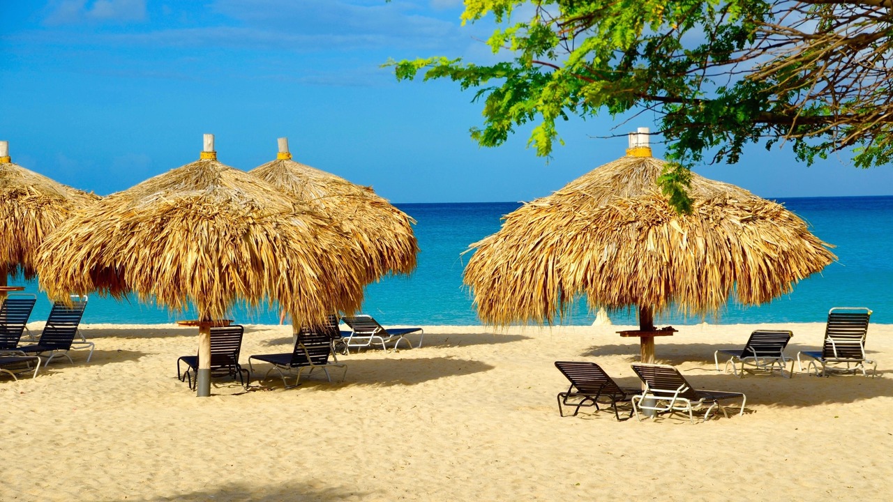 Photo of Others in Oranjestad-West