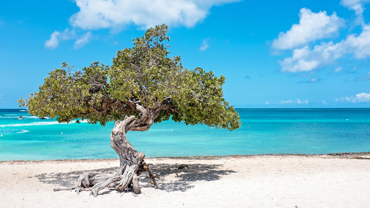Photo of Others in Oranjestad-West