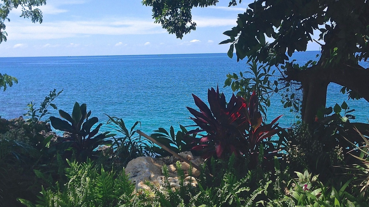 Photo of Outdoor in Orange Bay