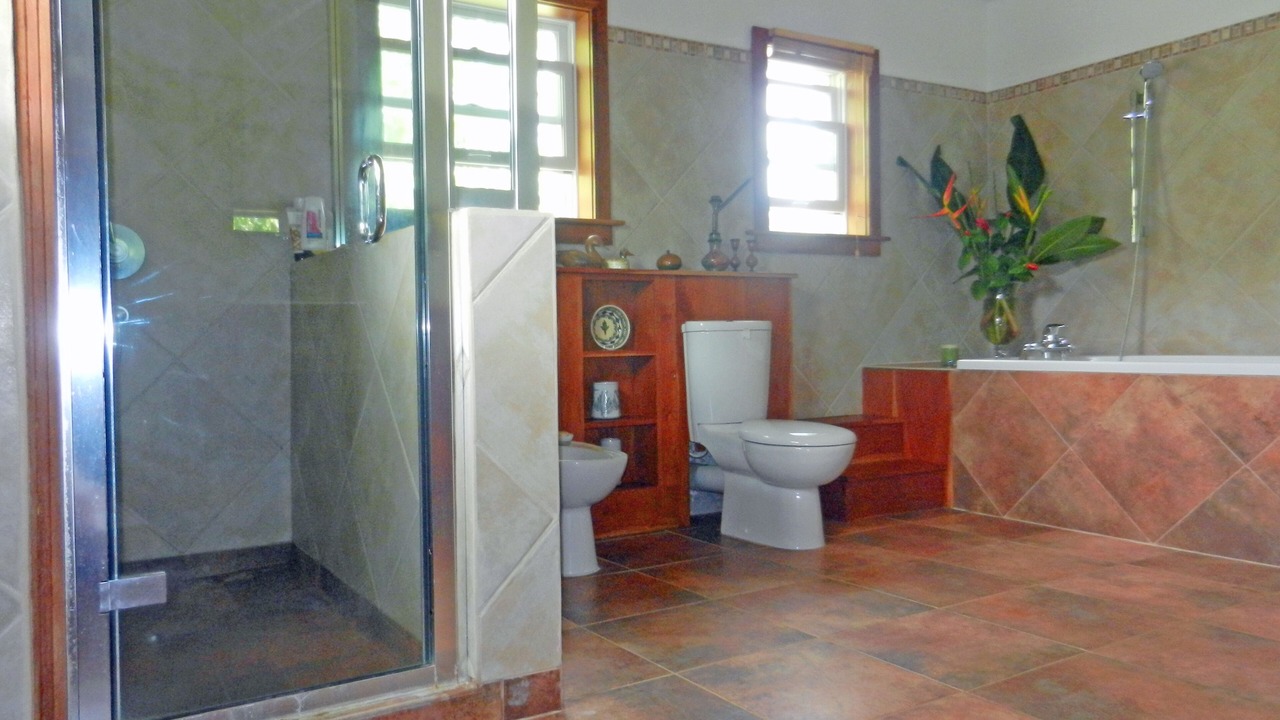 Photo of Bathroom in Saint David's