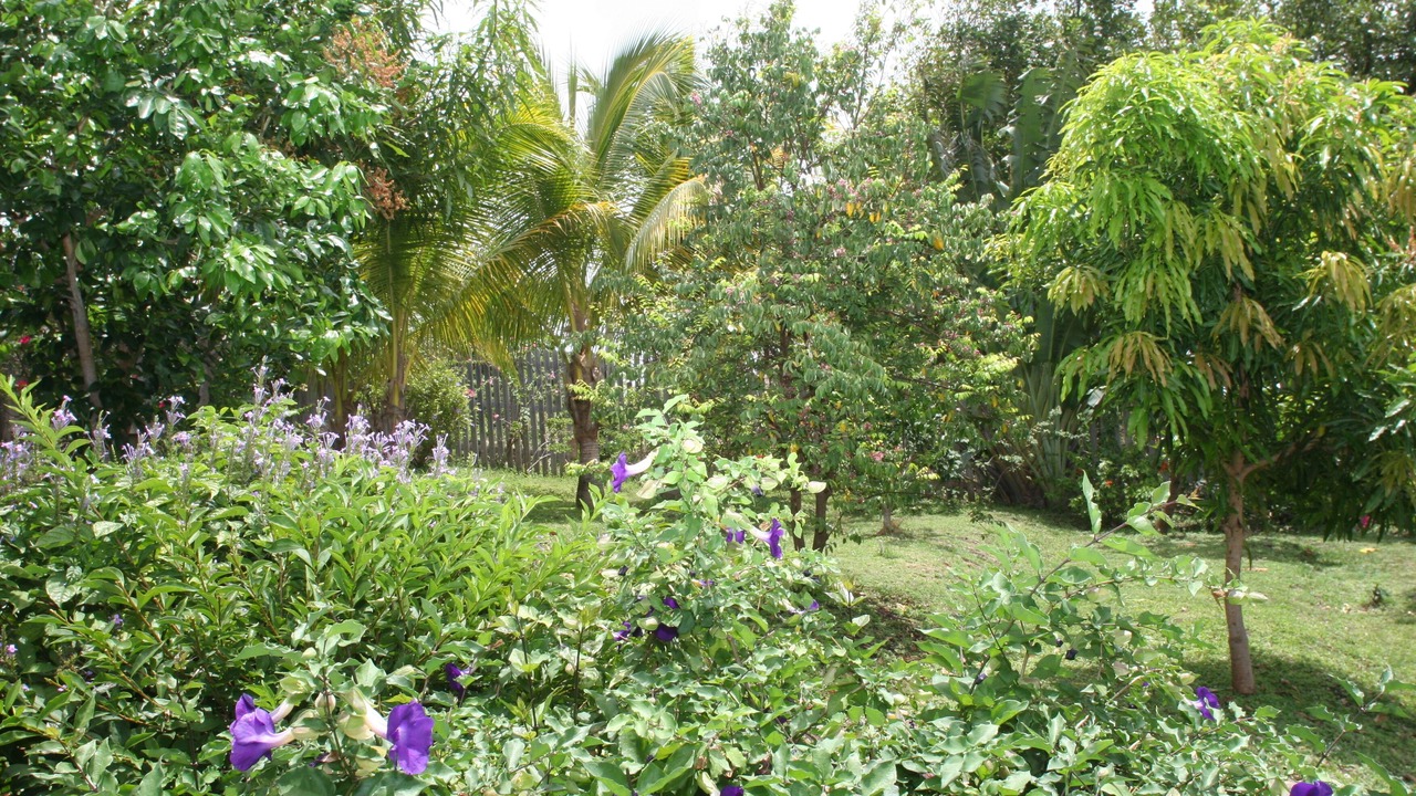 Photo of Outdoor in Saint David's