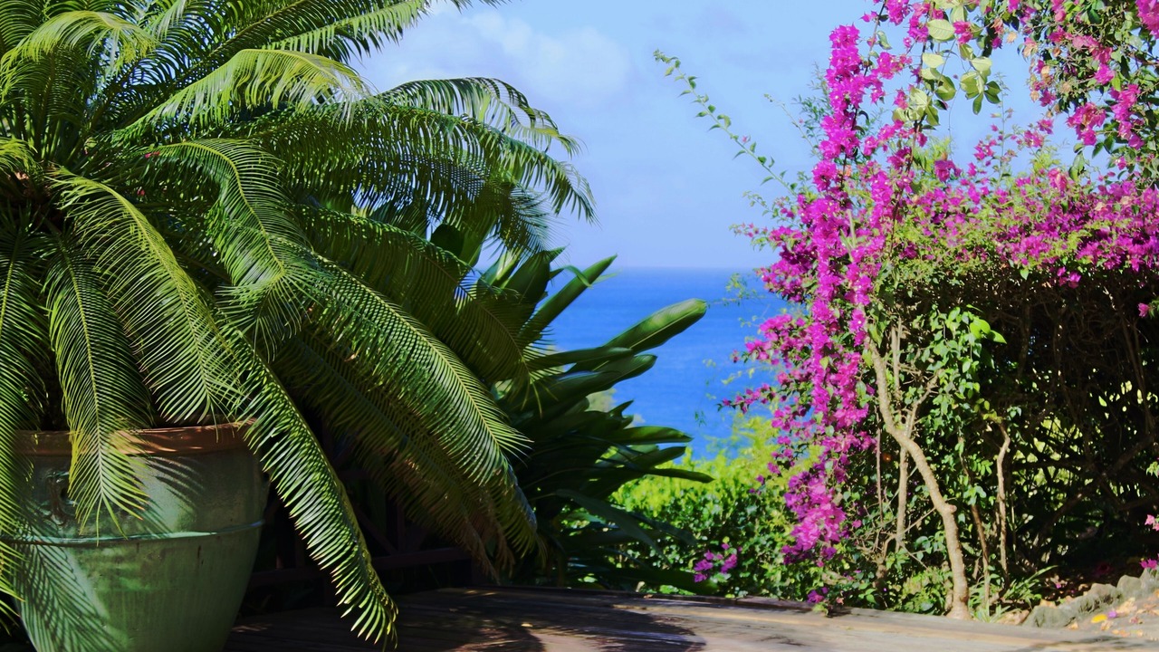Photo of Outdoor in Marigot Bay