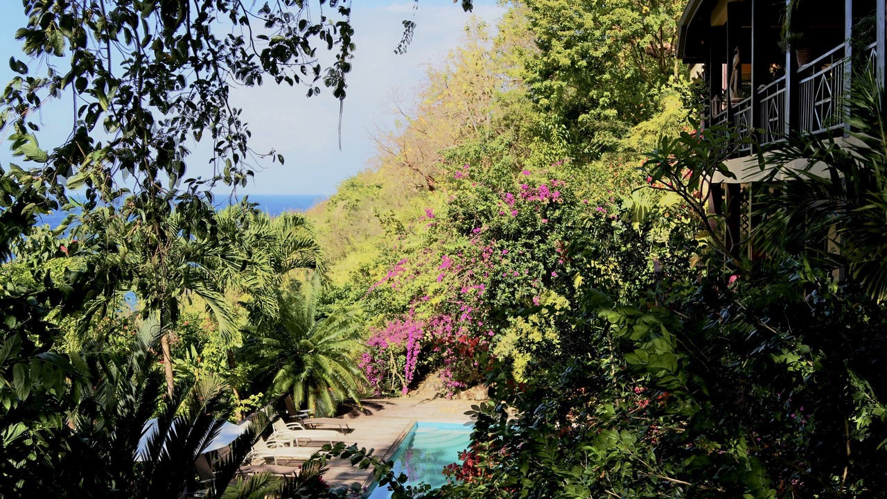 Photo of Outdoor in Marigot Bay