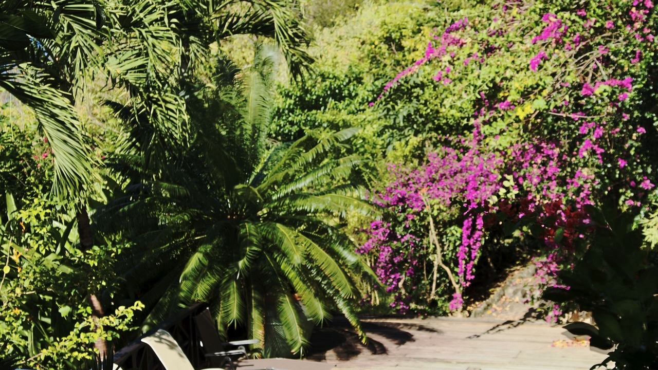 Photo of Outdoor in Marigot Bay