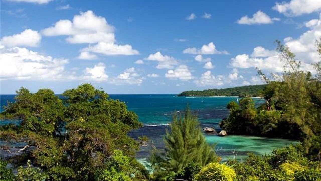 Photo of Others in Ocho Rios