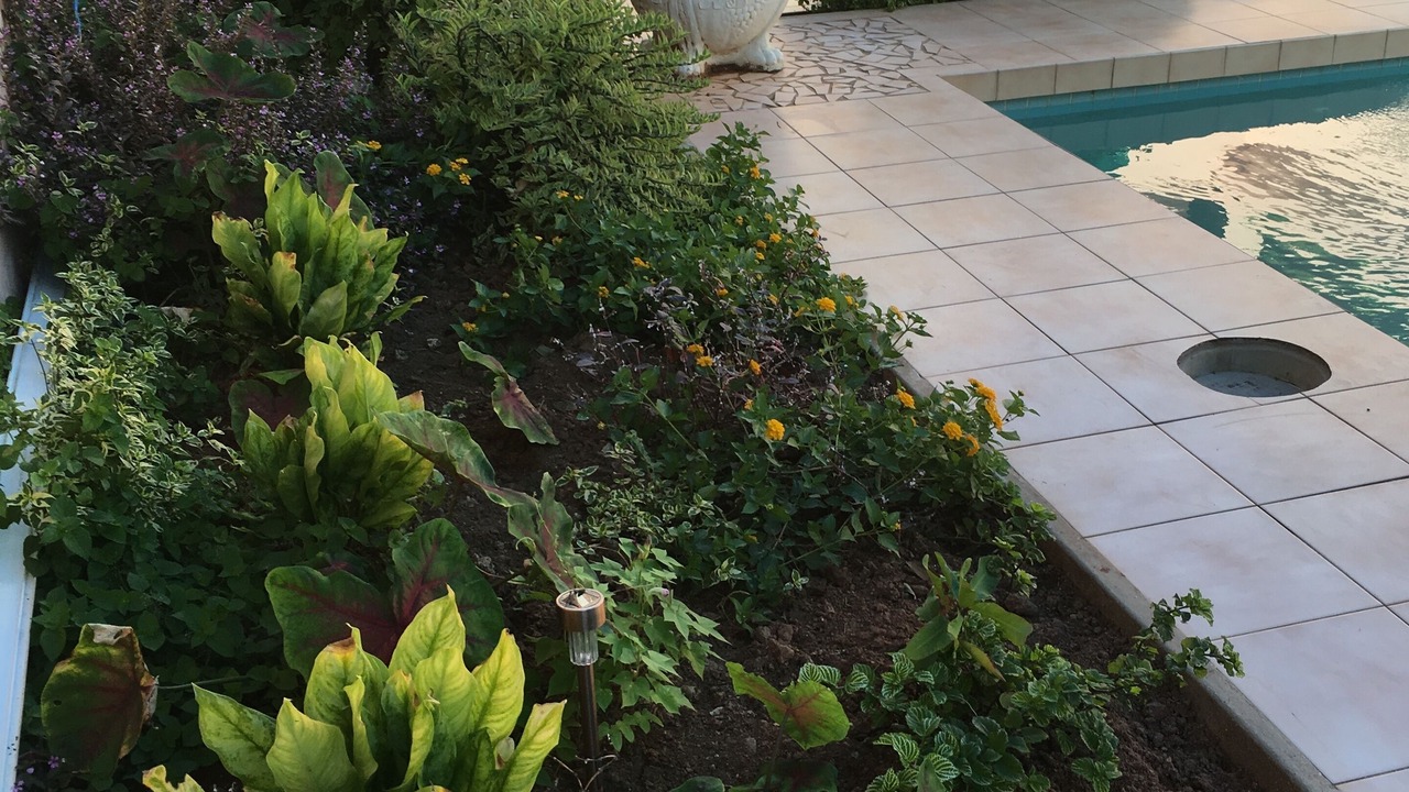 Photo of Outdoor in Rodney Bay