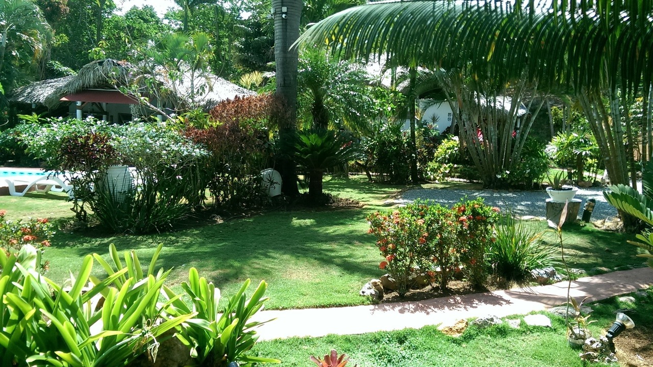 Photo of Outdoor in Las Terrenas