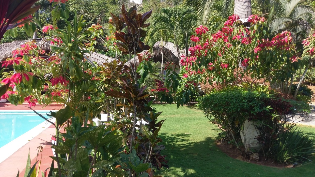 Photo of Outdoor in Las Terrenas