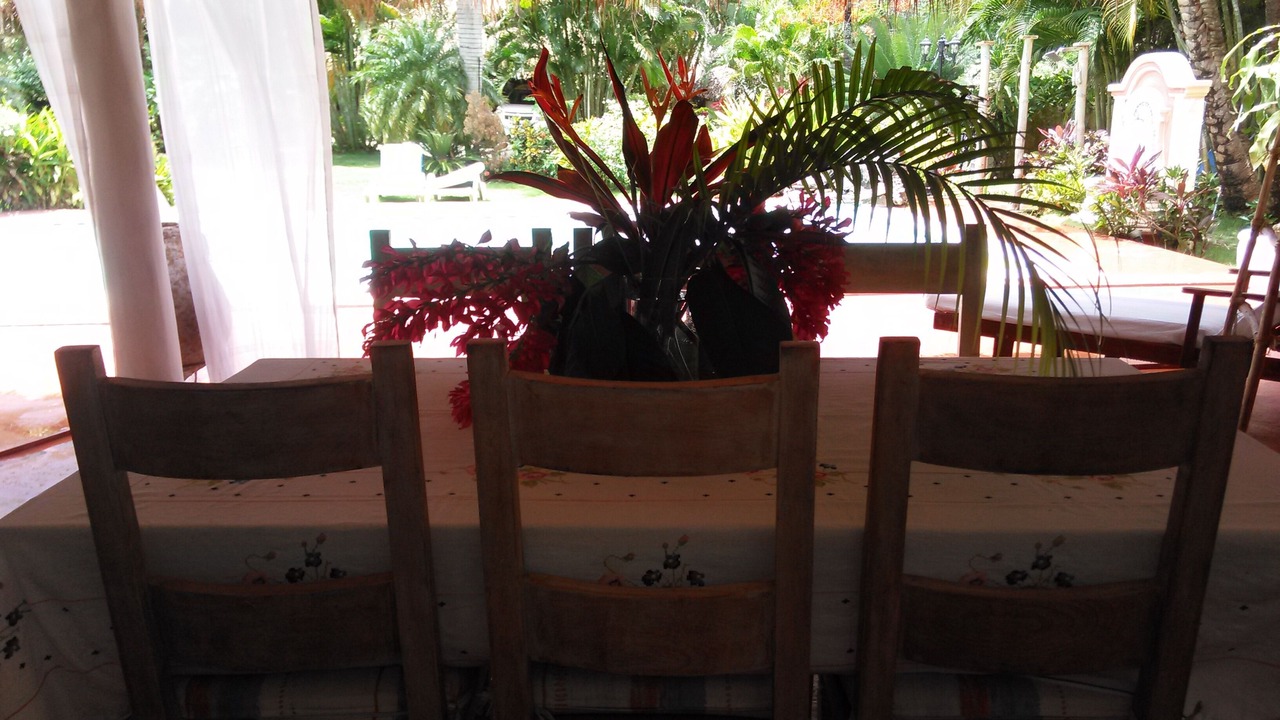 Photo of Outdoor in Las Terrenas