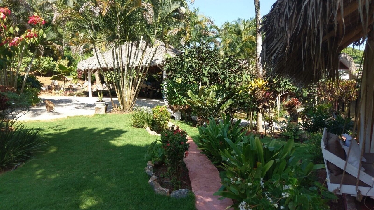 Photo of Outdoor in Las Terrenas