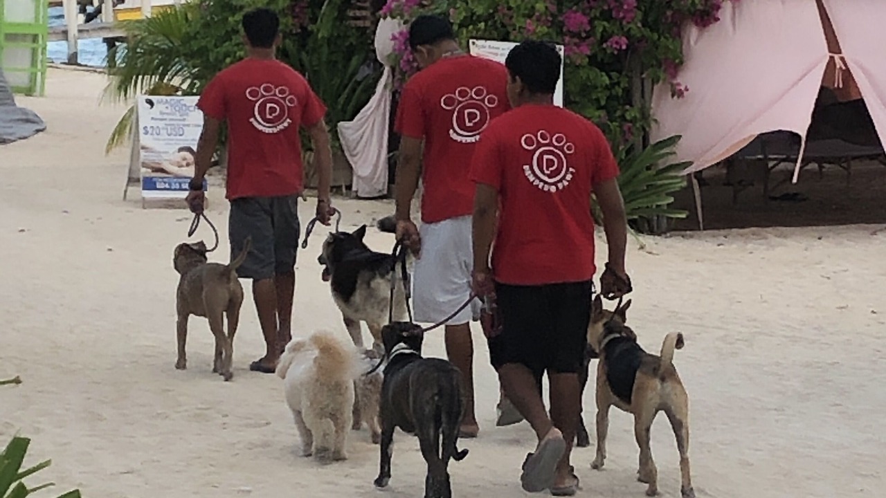Photo of Others in San Pedro
