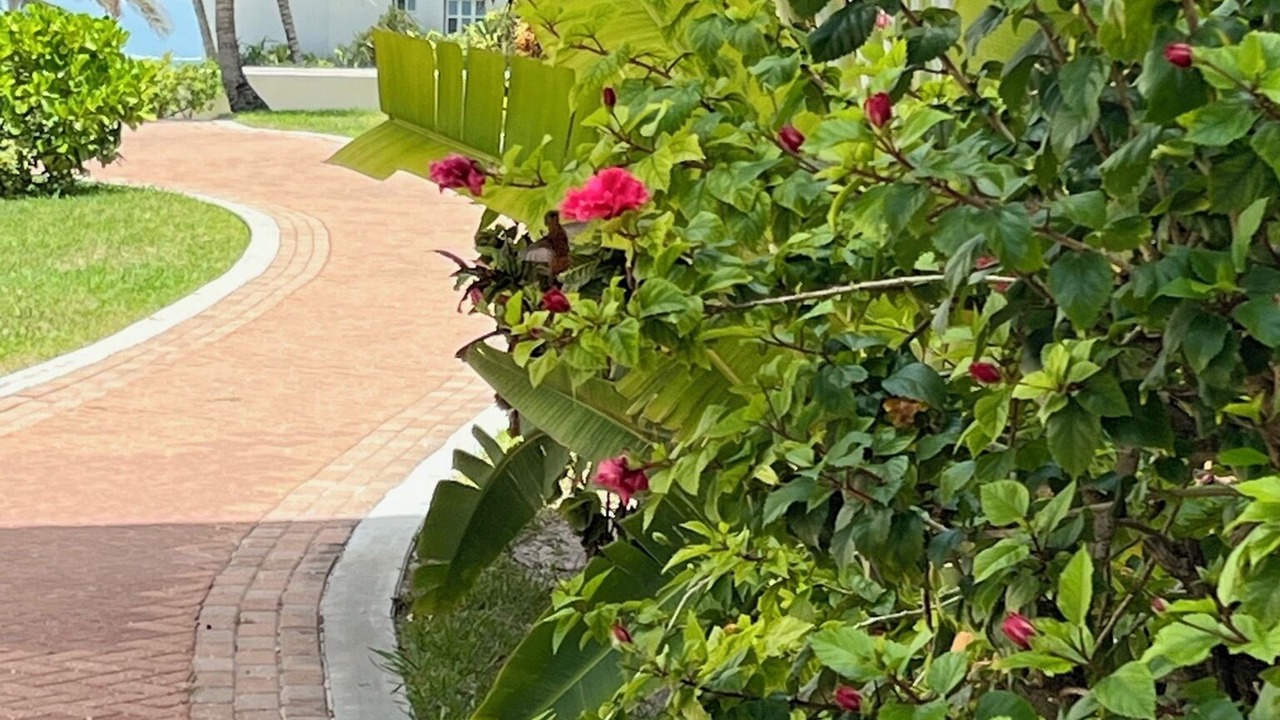 Photo of Outdoor in San Pedro