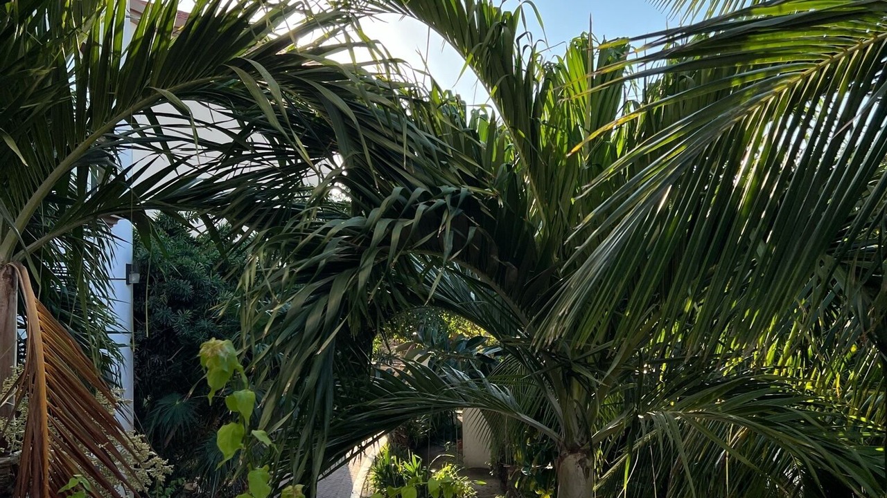 Photo of Outdoor in San Pedro