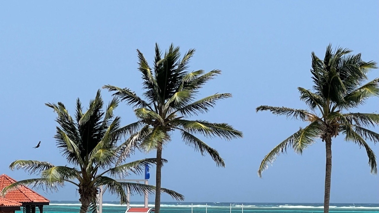 Photo of Outdoor in San Pedro