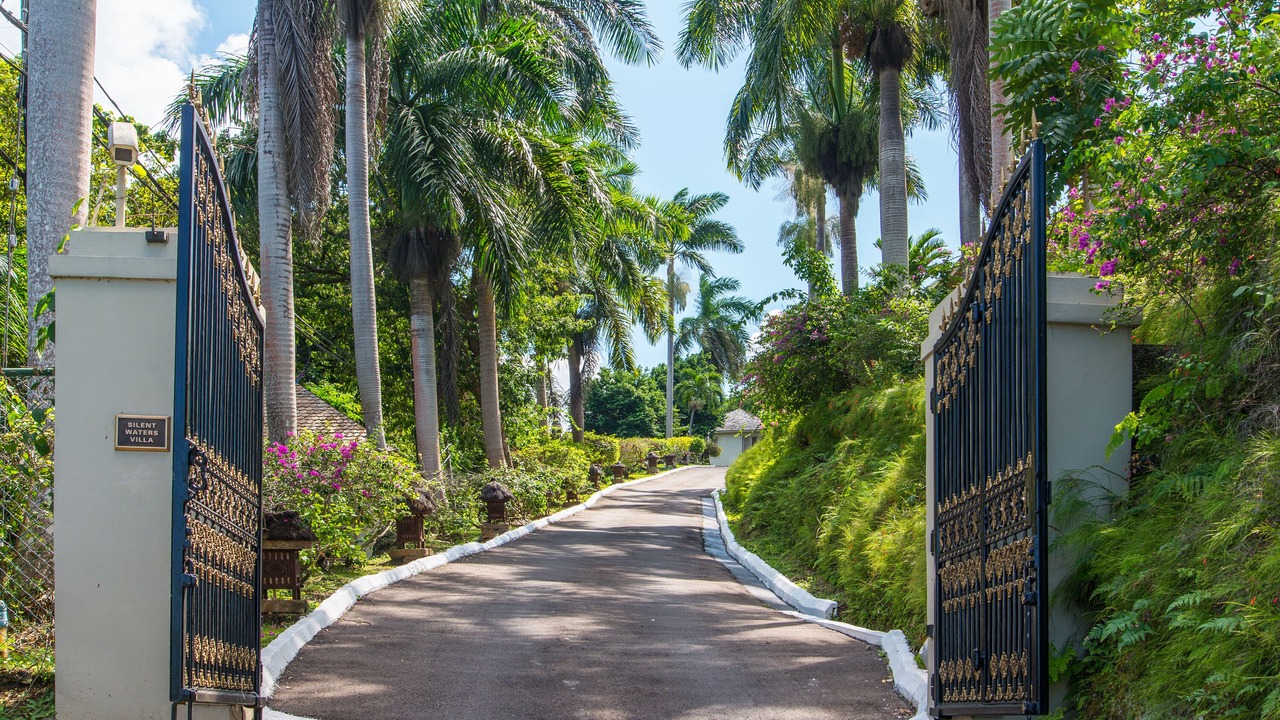 Photo of Others in Montego Bay