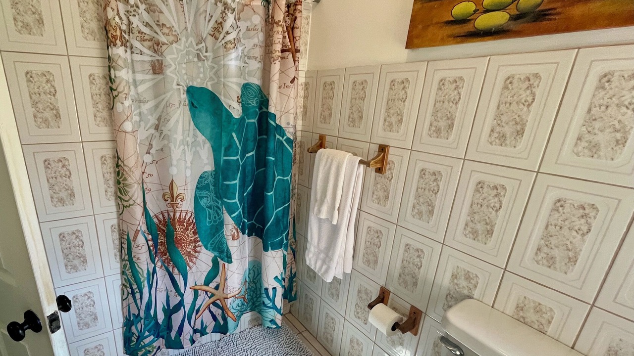 Photo of Bathroom in Cockburn Town