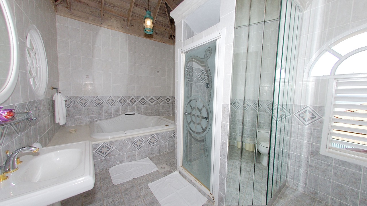 Photo of Bathroom in Port Antonio