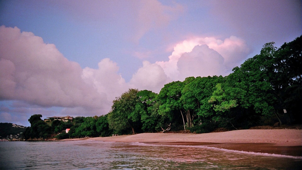 Photo of Others in Lower Bay