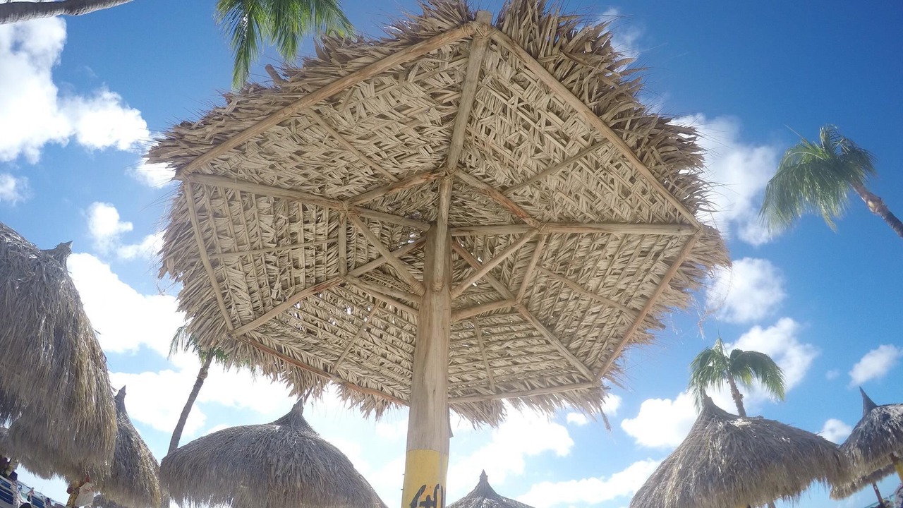 Photo of Outdoor in Palm Beach