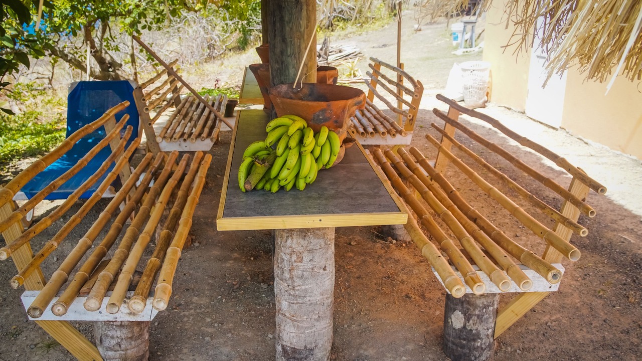 Photo of Outdoor in Choiseul