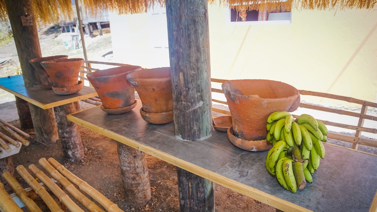 Photo of Outdoor in Choiseul