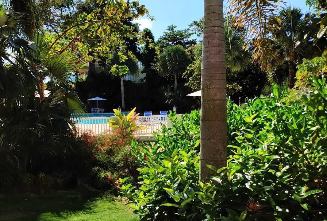 Photo of Outdoor in Orange Bay