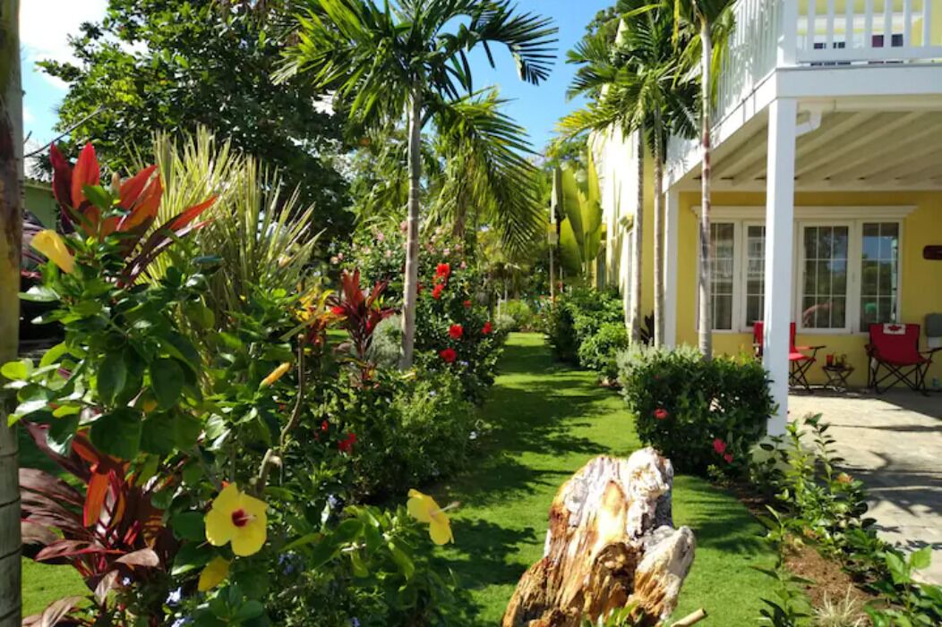 Photo of Outdoor in Orange Bay