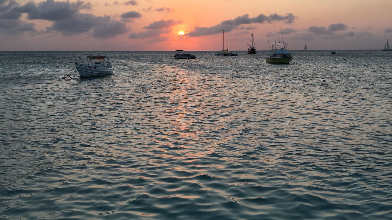 Photo of Others in Palm Beach