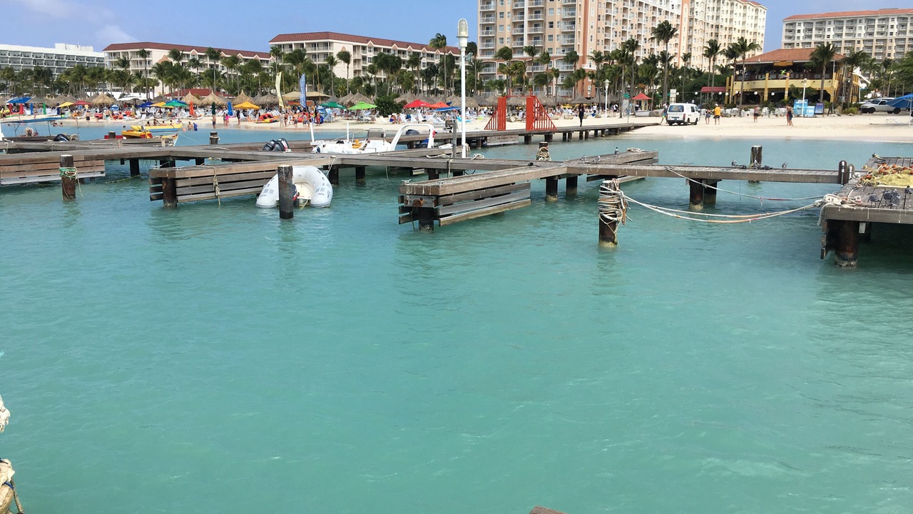 Photo of Others in Palm Beach