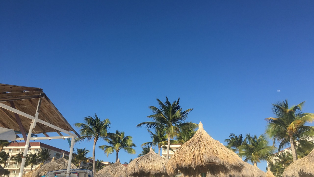 Photo of Others in Palm Beach