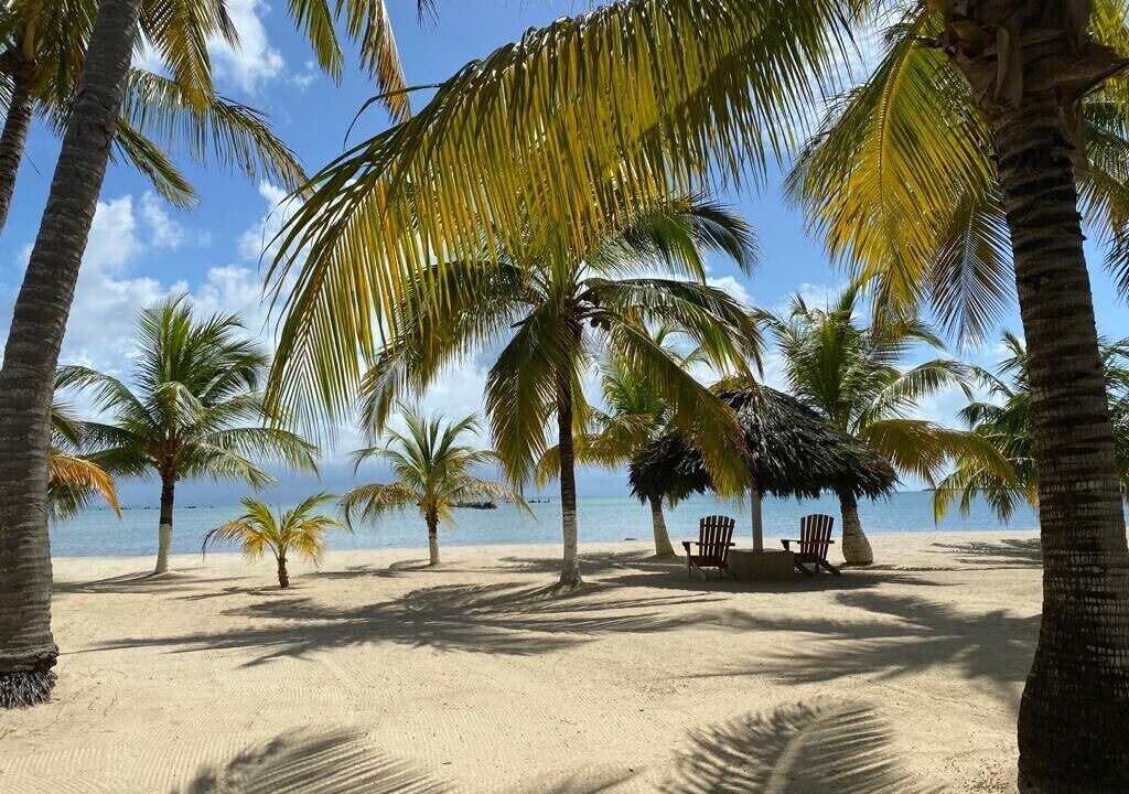 Photo of Others in Placencia