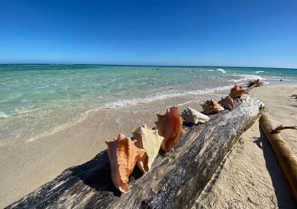 Photo of Others in Placencia