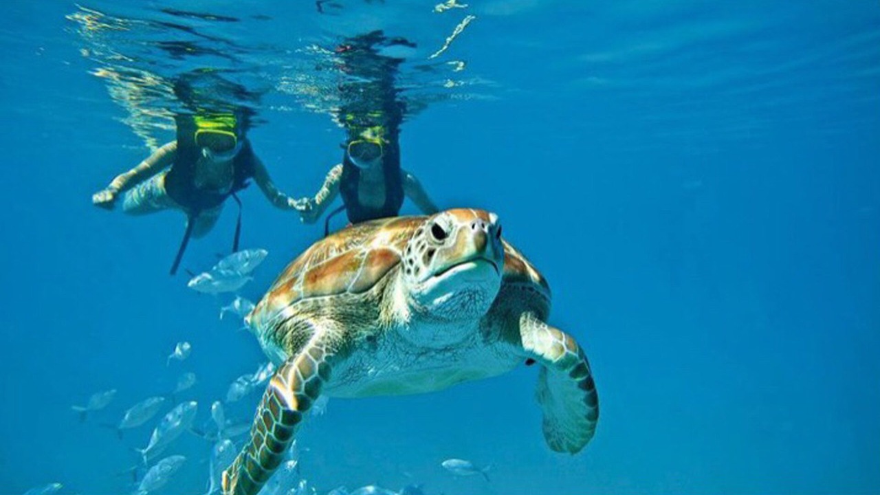 Photo of Others in Placencia