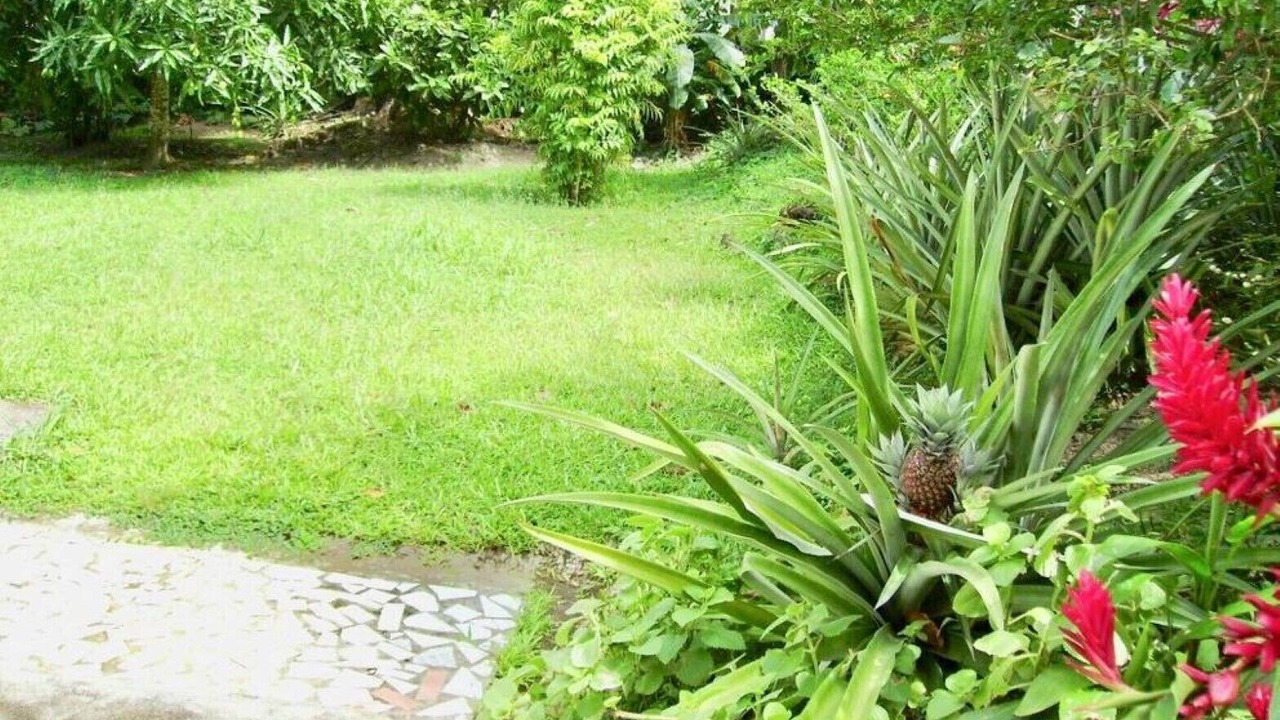 Photo of Outdoor in Soufriere
