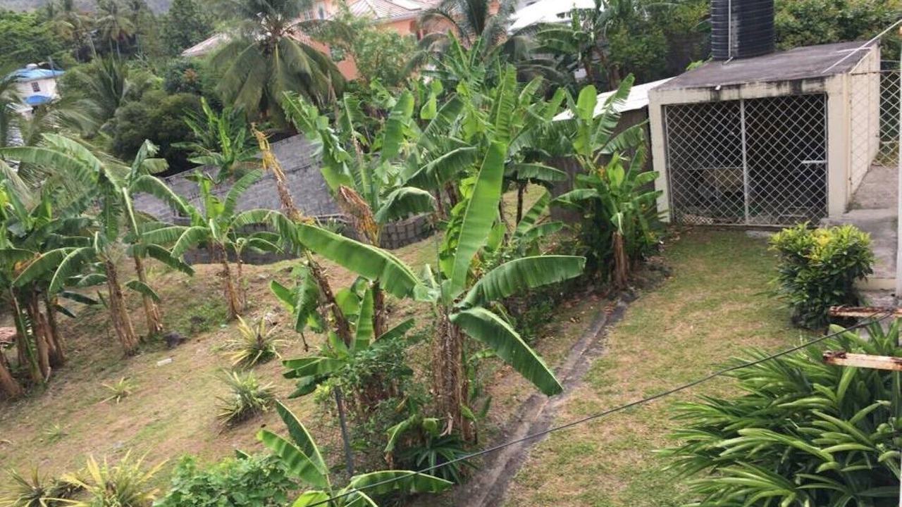 Photo of Outdoor in Soufriere
