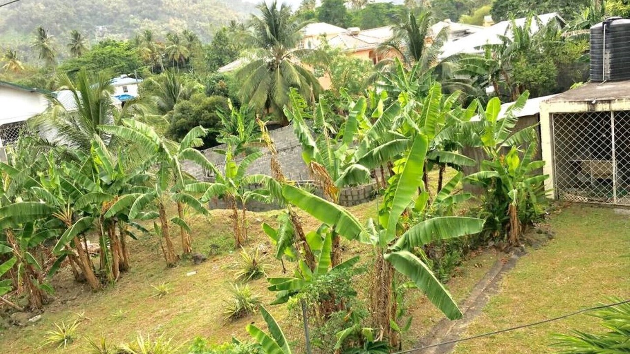 Photo of Outdoor in Soufriere