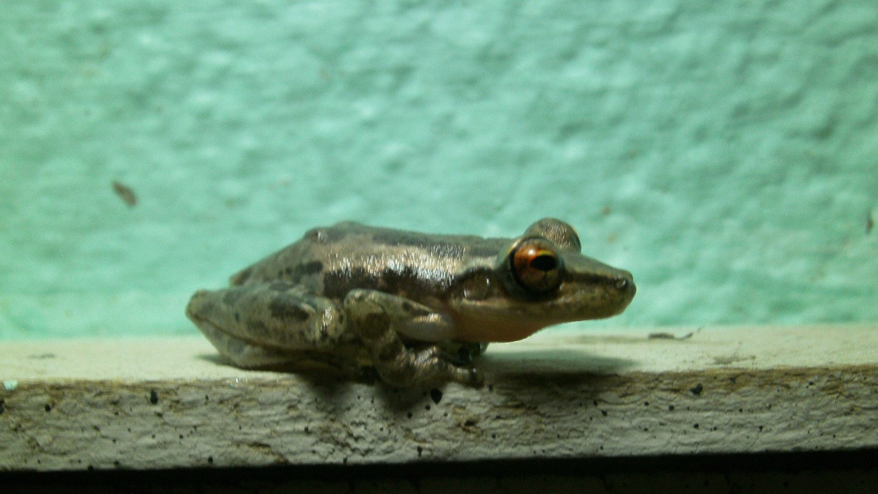 Photo of Others in Marigot Bay
